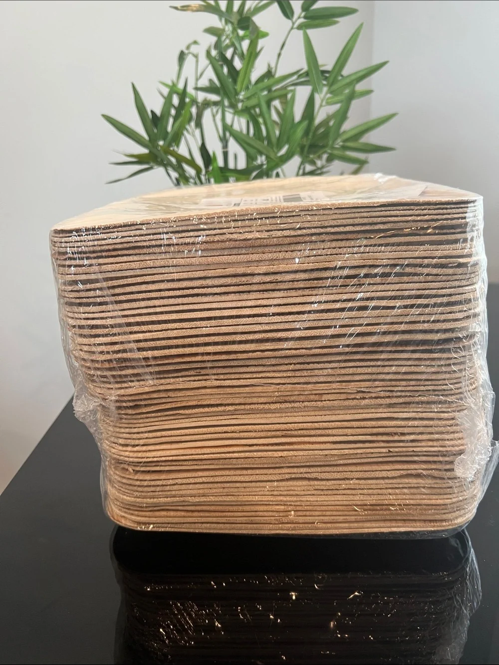 Palm Leaf Plates 50 Count 10x10 Compostable Bridal Shower Party Eco